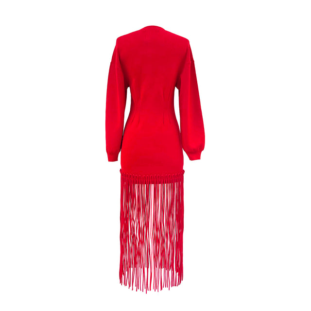 Wallis Knit Fringe Dress